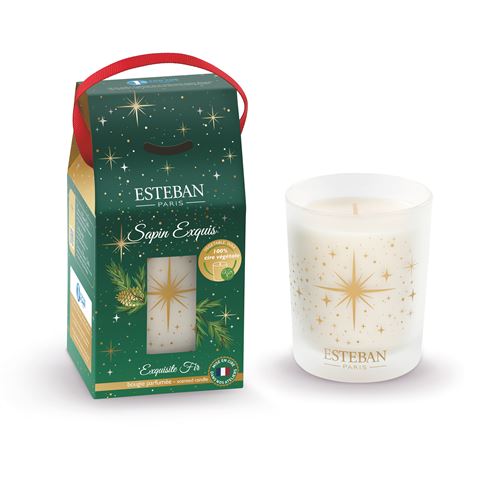 BOUGIE 180 G SAPIN EXQUIS