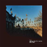 Ma fleur - The Cinematic Orchestra - CD album - Achat & prix | fnac