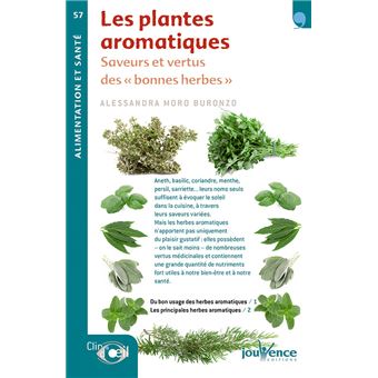 Le top 20 des herbes aromatiques à cultiver chez soi - Le Parisien