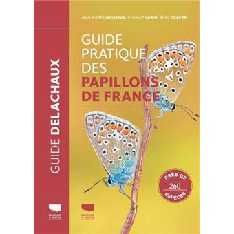 Guide pratique des papillons de France