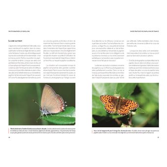 Guide pratique des papillons de France