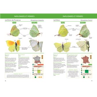 Guide pratique des papillons de France