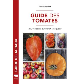 Guide des tomates