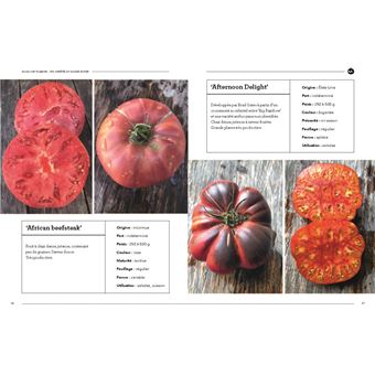 Guide des tomates
