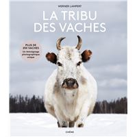 La tribu des vaches