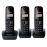 Panasonic Dect Phone Trio KX-TG1613BLH_0