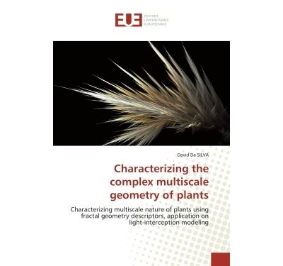 Characterizing the complex multiscale geometry of plants