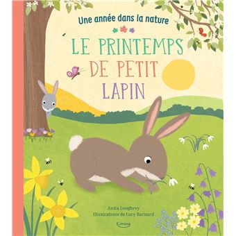 Le printemps de petit lapin (coll. une année dans la nature)