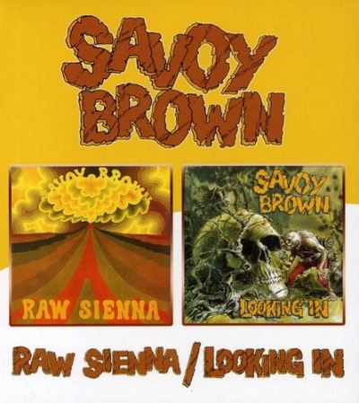 Raw sienna - Looking in