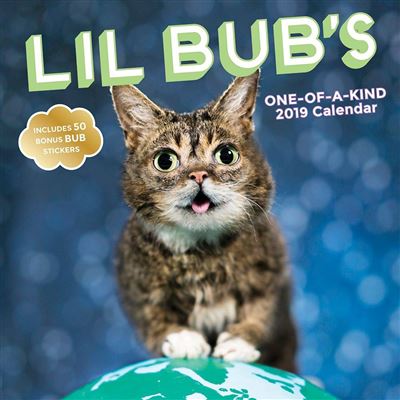 Lil Bub?s One-of-a-Kind