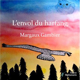 L'envol du harfang - 1