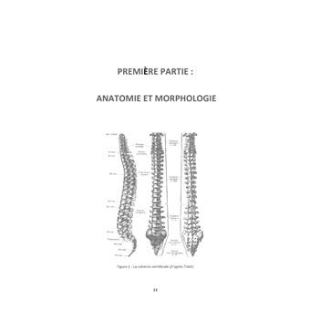 Hatha yoga et colonne vertébrale