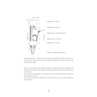 Hatha yoga et colonne vertébrale