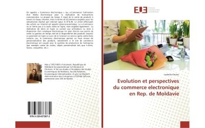 Evolution et perspectives du commerce electronique en rep. d