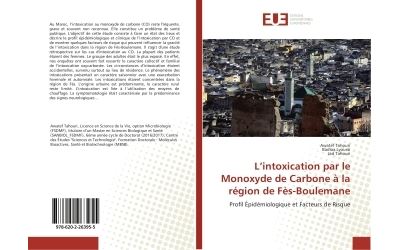 L'intoxication par le monoxyde de carbone a la region de fes
