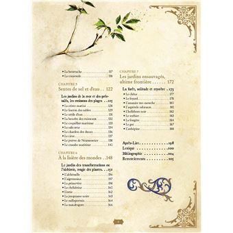 Herboristerie médiévale et plantes magiciennes