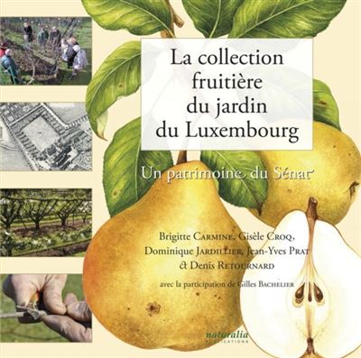 La collection fruitière du jardin du Luxembourg