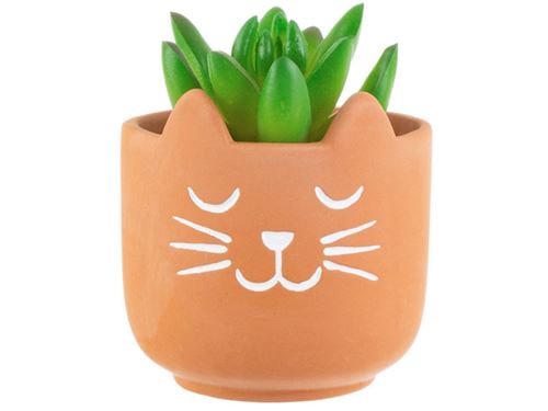 Jardiniere En Terre Cuite Sass Belle Chat Objet A Poser Achat Prix Fnac