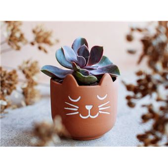 Jardiniere En Terre Cuite Sass Belle Chat Objet A Poser Achat Prix Fnac