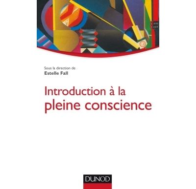 introduction a la pleine conscience