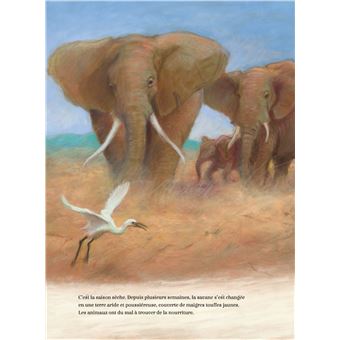 L'Eléphante qui cherchait la pluie