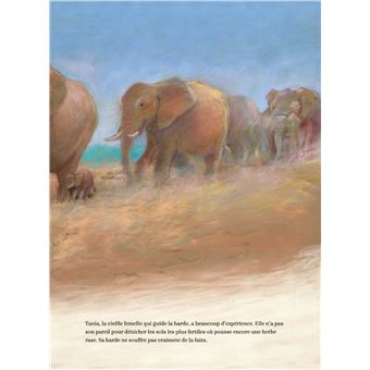 L'Eléphante qui cherchait la pluie