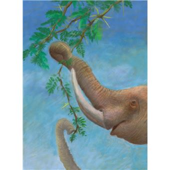 L'Eléphante qui cherchait la pluie