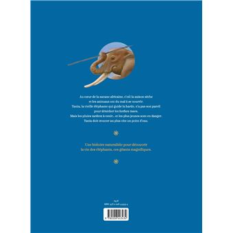 L'Eléphante qui cherchait la pluie