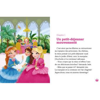 Une, deux, trois Princesses -  Le mystère des pierres précieuses - Tome 16