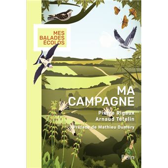 Ma campagne