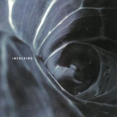 Infolding - 2 LP