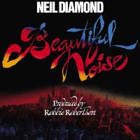 Beautiful Noise - LP