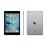 Apple iPad Mini 4 16 Go Wifi Gris Sidéral 7,9"_2