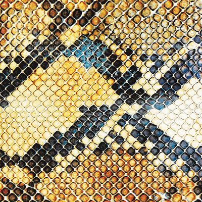 Amphetamine Ballads (LP+MP3)