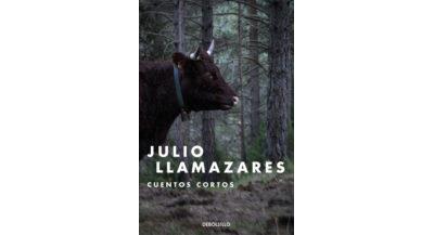CUENTOS CORTOS