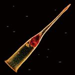 Melodies Of Atonement - CD