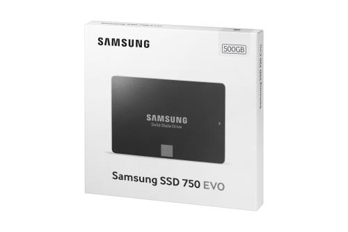 Disque dur interne Samsung SSD 750 Evo 500 Go Disques durs