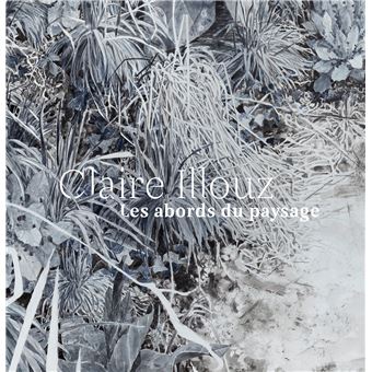 Claire Illouz. Les abords du paysage