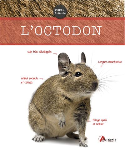 Octodon -  Collectif - broché