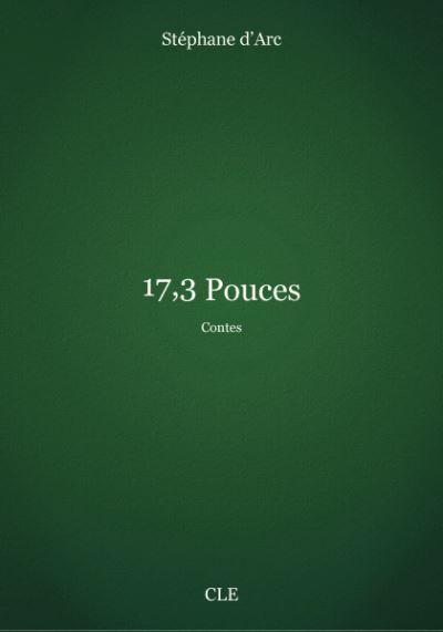 17,3 pouces