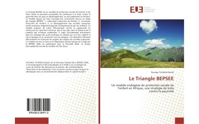 Le triangle bepsee - un modele endogene de protection social