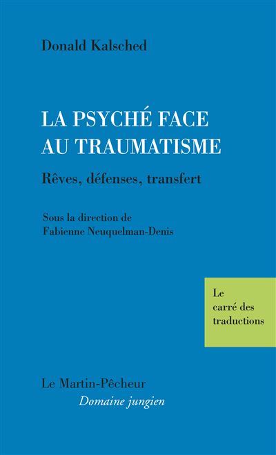 La psyché face au traumatisme - Donald Kalsched - broché