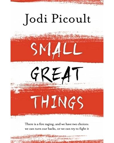 SMALL GREAT THINGS:TO KILL A MOCKINBIRD FOR THE 21ST CENTURY