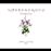 Nostradamus - the death of satan - CD