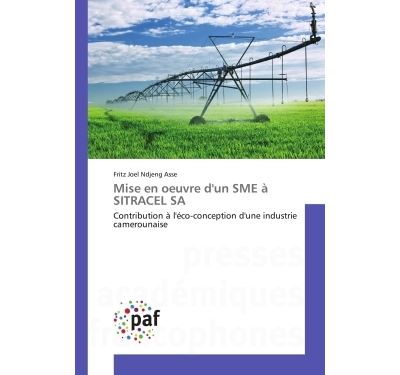 Mise en oeuvre d'un SMe A SITRACeL SA