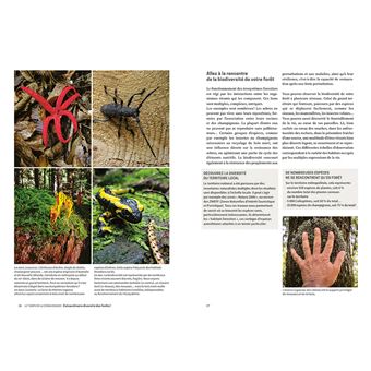 Slow Forêt - Cultiver les forêts en respectant l'environnement