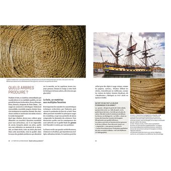 Slow Forêt - Cultiver les forêts en respectant l'environnement