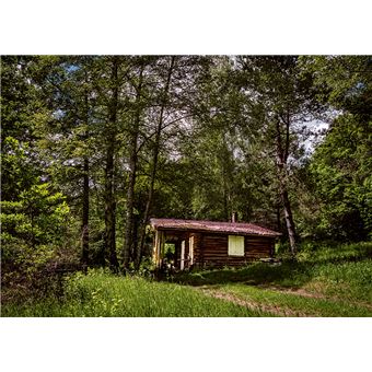 Slow Forêt - Cultiver les forêts en respectant l'environnement