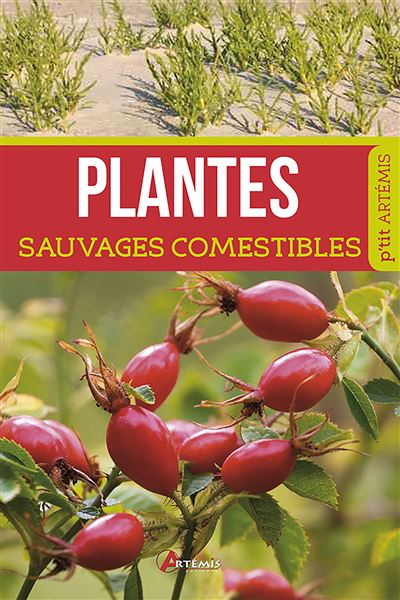 Plantes Sauvages Comestibles Tome 0 - Broché - Collectif - Achat Livre ...