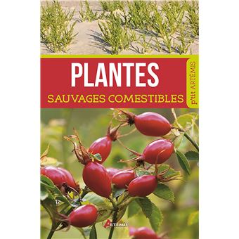 Plantes Sauvages Comestibles Tome 0 - Broché - Collectif - Achat Livre ...